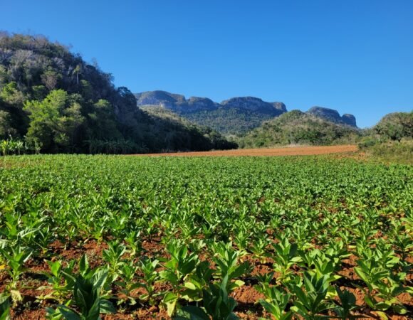 Unforgettable Havana to Viñales in 1 Day