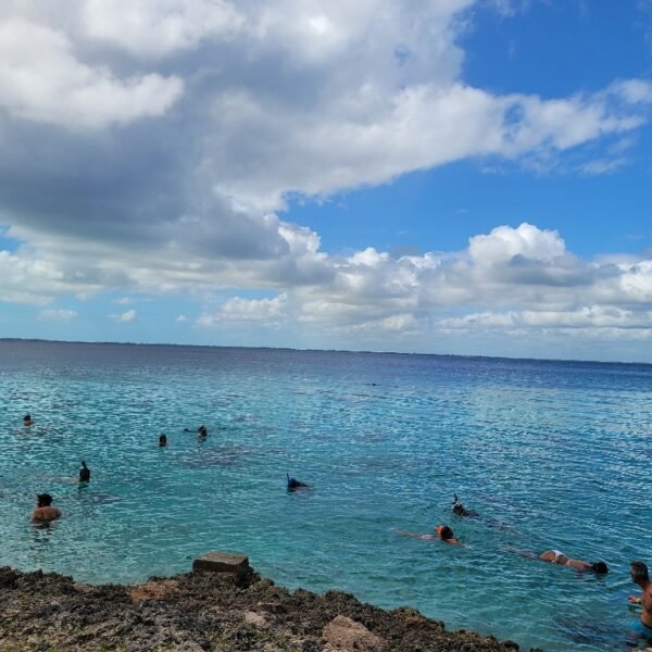 Havana to Bay of Pigs 5 Epic Experiences Await