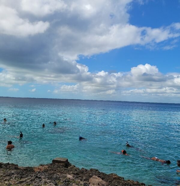 Havana to Bay of Pigs 5 Epic Experiences Await