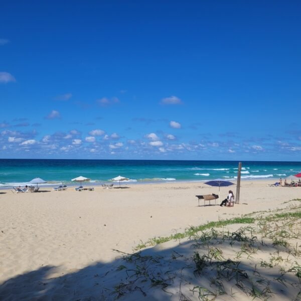 Havana to Varadero 5 Epic Experiences Await
